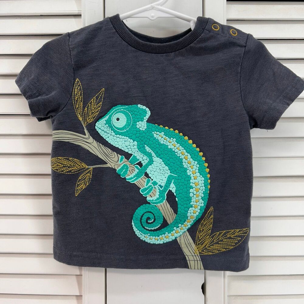 Jarvis archer size 12M grey chameleon tee